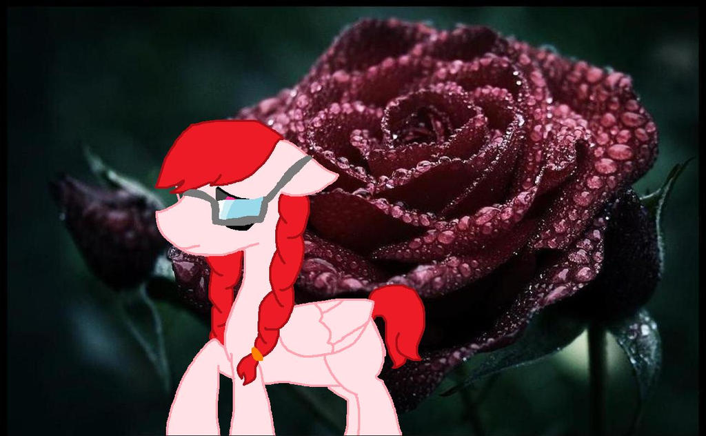 Red Roses Mlp Rose (mlp Virsion) Wih Background by mlpfluttershyx on DeviantArt