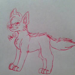 Wolf pup doodle