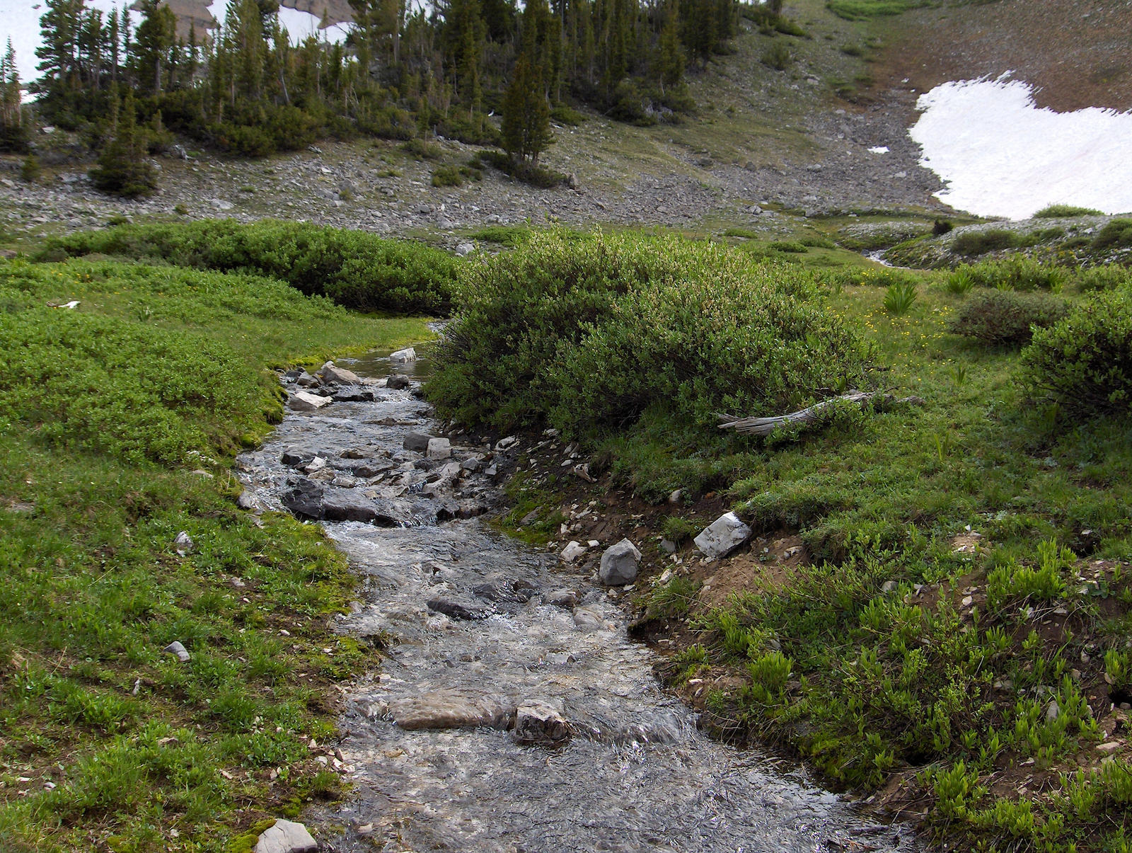Rivulet by Flyingtower on DeviantArt