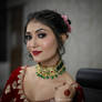 Explain The Best Bridal makeup in Ranthambore?