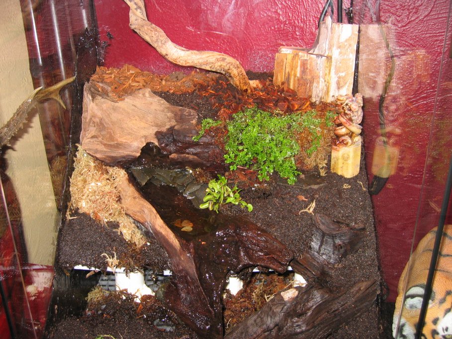 Vivarium V