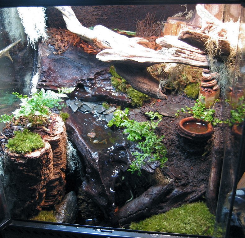 Vivarium VIII