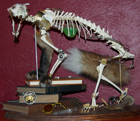 Steampunk Fox Taxidermy II