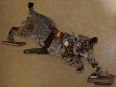 Steampunk Bobcat