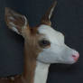 Standing Pied Fawn detail