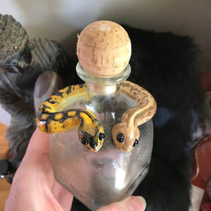 Snakes on a bottle