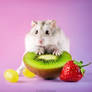 Fruity paradise
