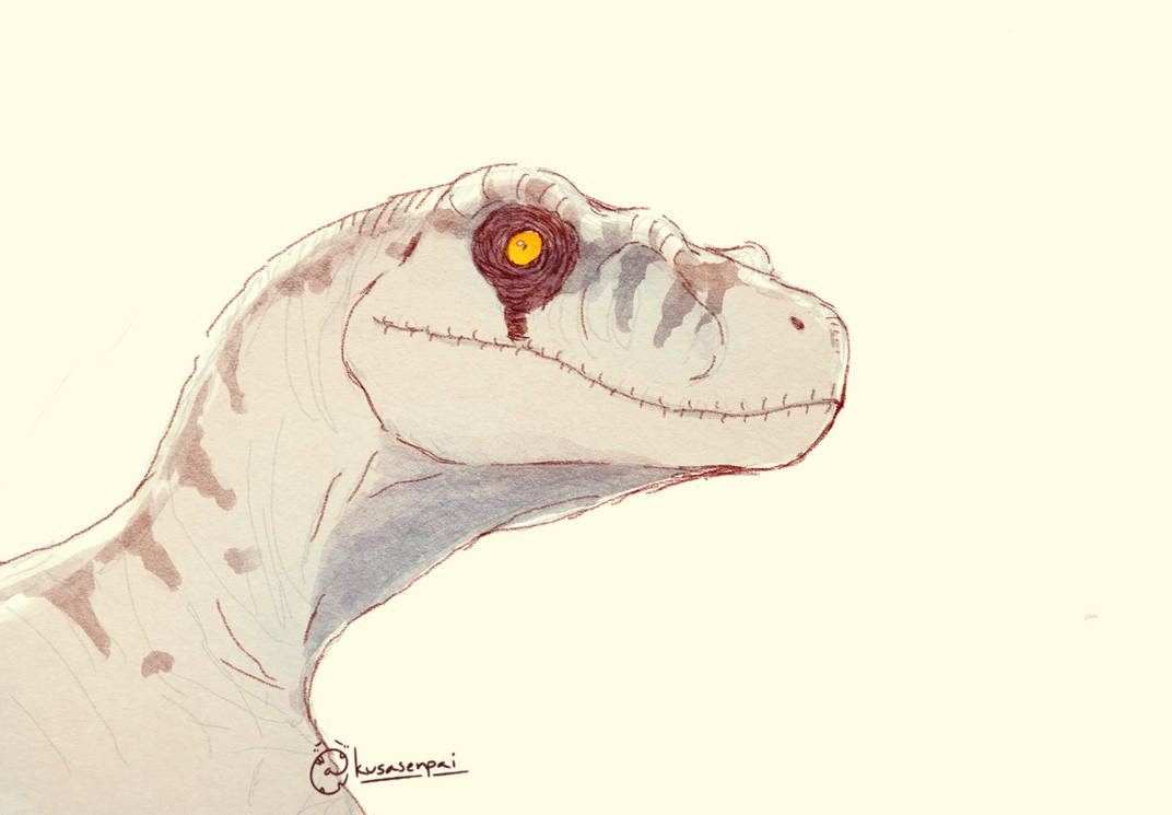 Ivory Raptor by kusasenpai on DeviantArt