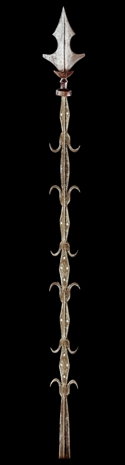 AFRICAN SPEAR 3