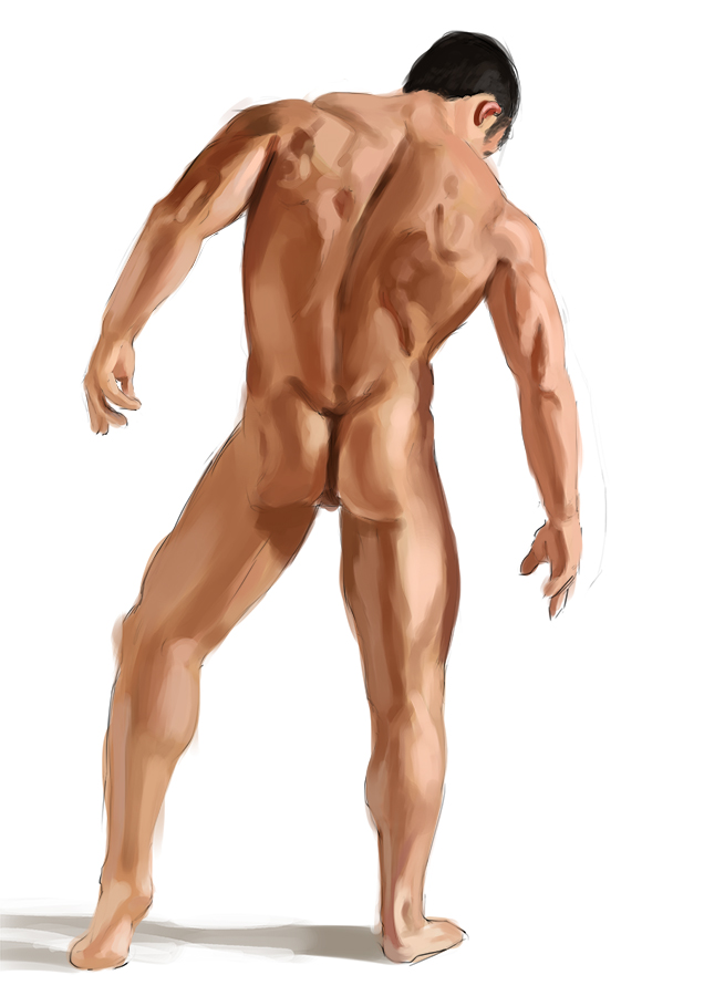 figure study