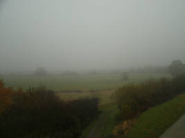 Late autumn fog - home... 2