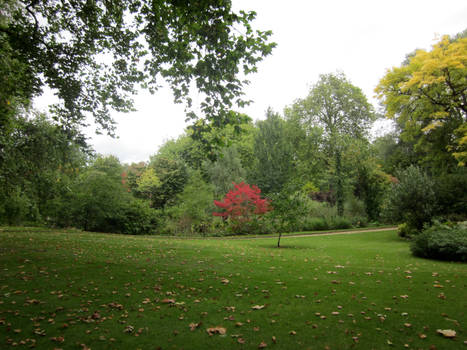 the queen's garden - trees