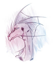 Dragon Sketch