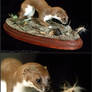 Taxidermy - Weasel