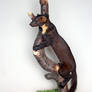 Taxidermy - Pine Marten