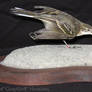 Taxidermy - Yellow wagtail