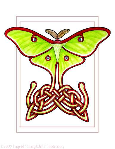 Celtic Lunar Moth