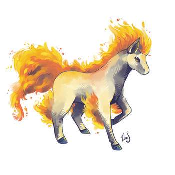 Ponyta