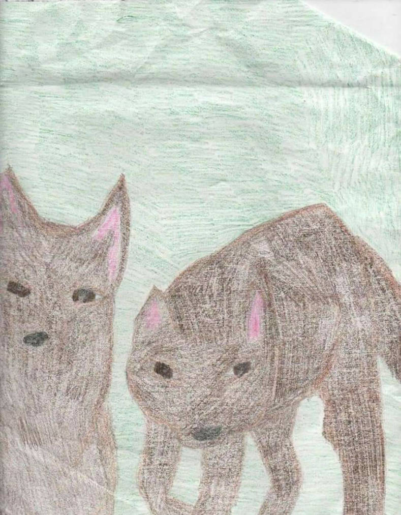 colored two wolves drawing by TinyTeenieWolf on DeviantArt