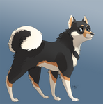 SHIBA INU by kellaymarie