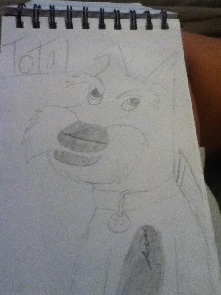 Total~Maximum Ride~ by BurningForest on DeviantArt