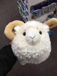 It's Not A Sheep, It's A Ram