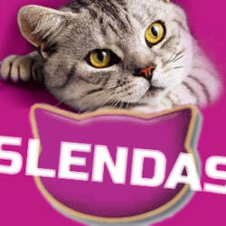 Slendas Cat Food V.2