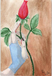 Water Color Rose