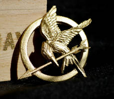 The Mockingjay pin