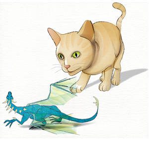 Cat And Dragon