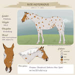 ROS Notorious by Kharress