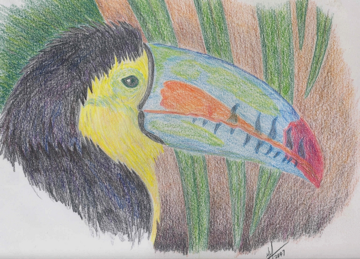 Tucan