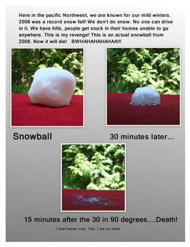 DIE Snowball DIE