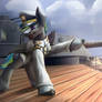 Battleship commander