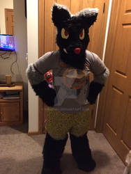 Poochyena Fursuit