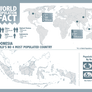 Indonesia and World Population Infographic