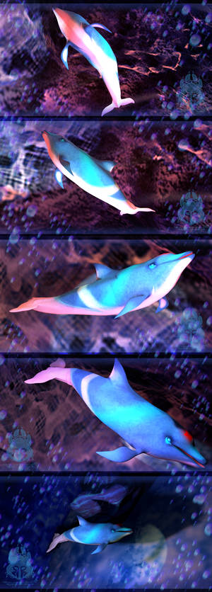 Bleow the Dolphin 3D Model