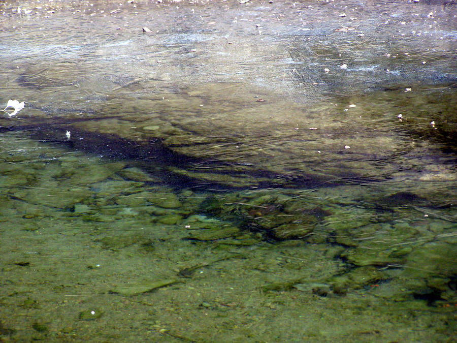 Underwater ledge II