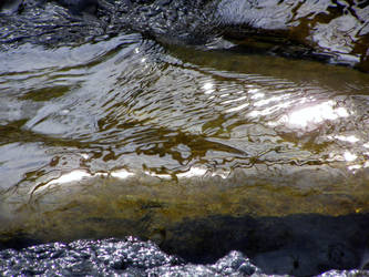 Sunlight on the water....