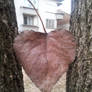 Love In The Nature