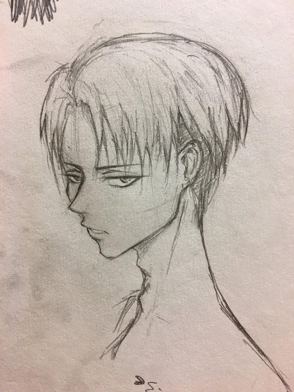 Levi 