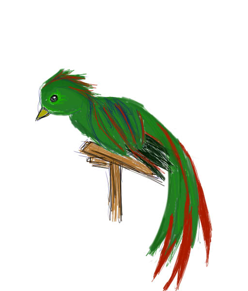 Quetzal