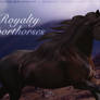 Royalty Sporthorses