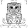 Adult Coloring Book Page - Owl