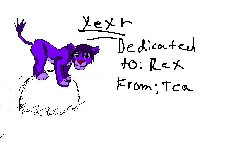 Xexr LK