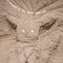 CE:: Eevee in the sand