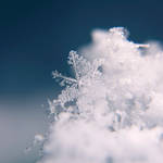 Freeze by sounds-like-rain