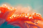 Lights by sounds-like-rain