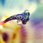 Just After The Rain by sounds-like-rain