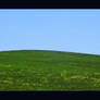 Windows XP Bliss Wallpaper in Morocco